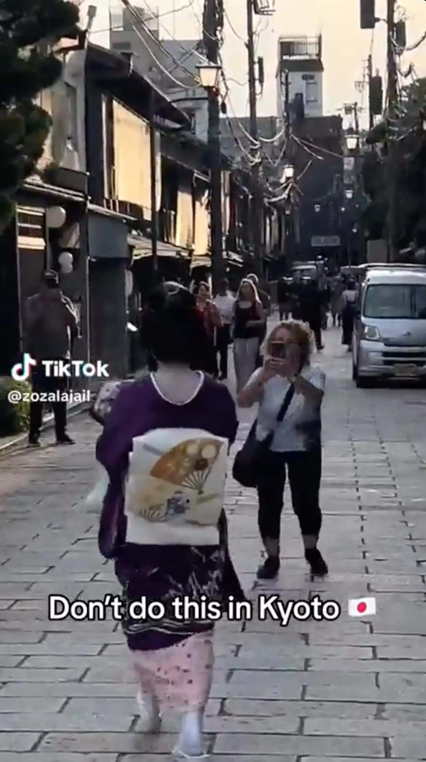 The tourist hassled the woman repeatedly. (TikTok / zozalajail)