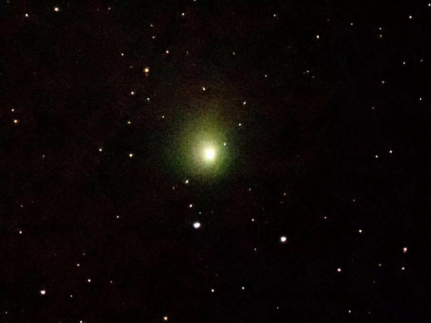The comet photographed from Kent during the early hours.