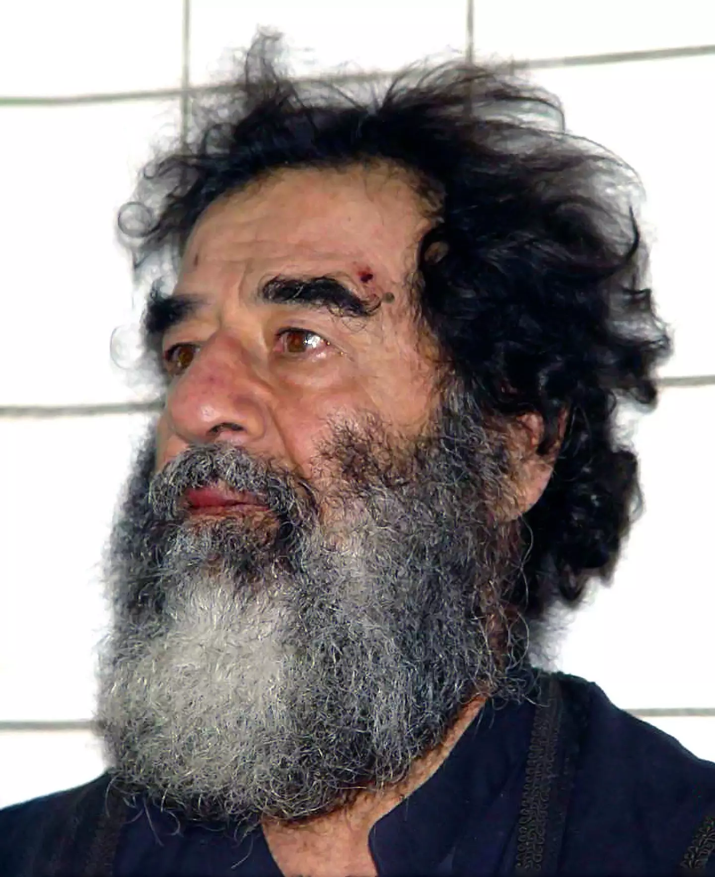 Saddam Hussein after being apprehended by US forces following the toppling of his regime.