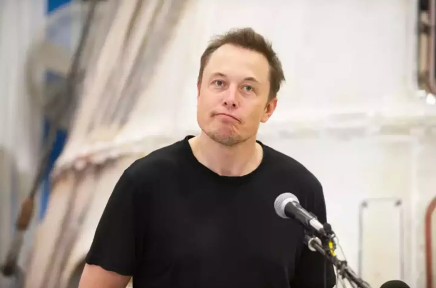 The homes in Musk's town will be rented out at a discount.