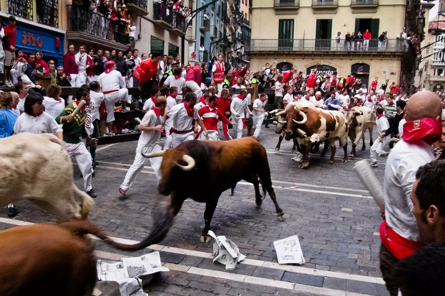 The most famous bull running festival in the world is held in Pamplona.
