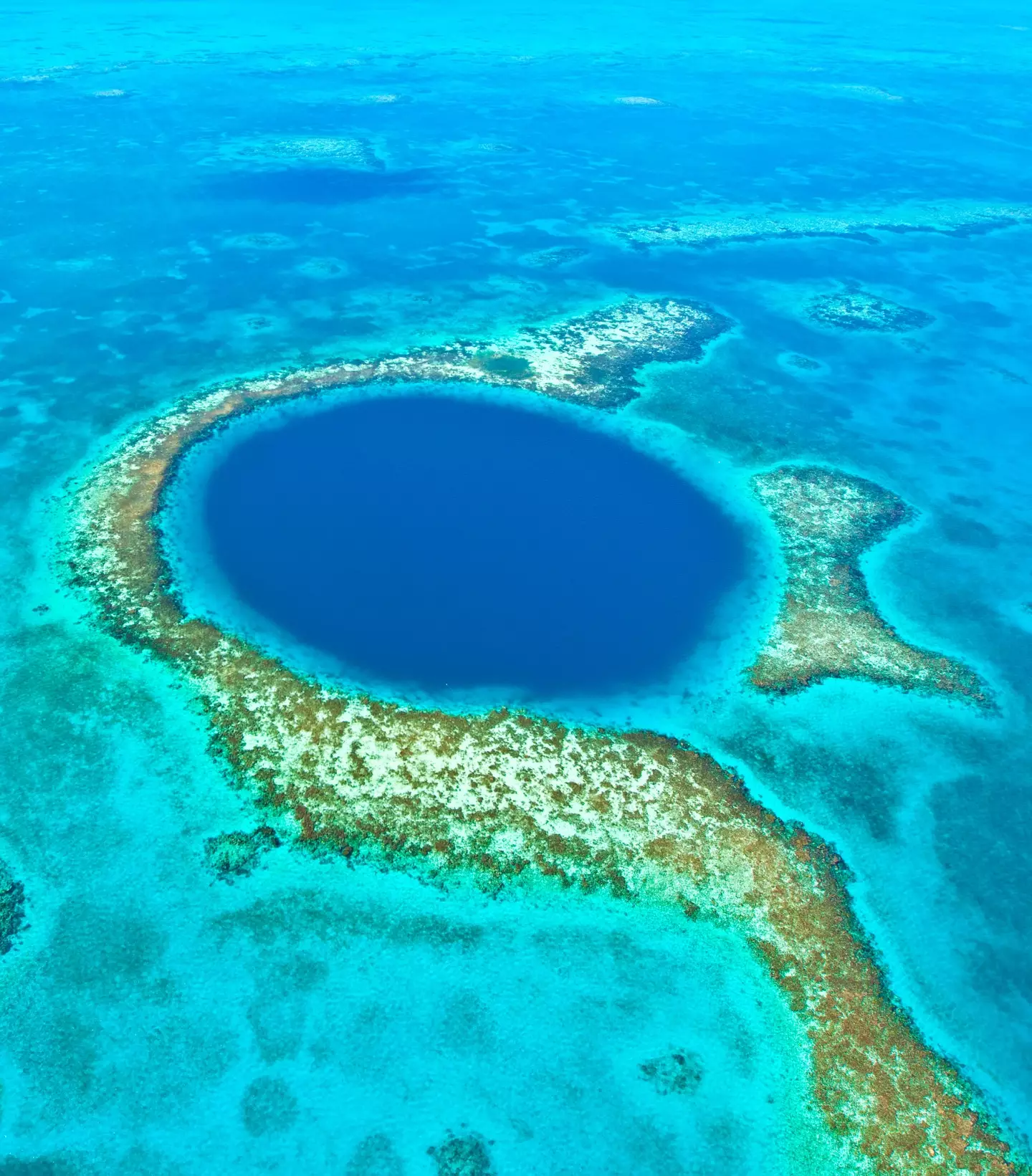 The unique properties of the blue hole could support lifeforms we haven't seen before.