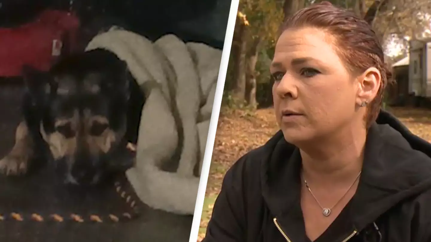 Escaped dog running wild leads woman to body of his dead owner