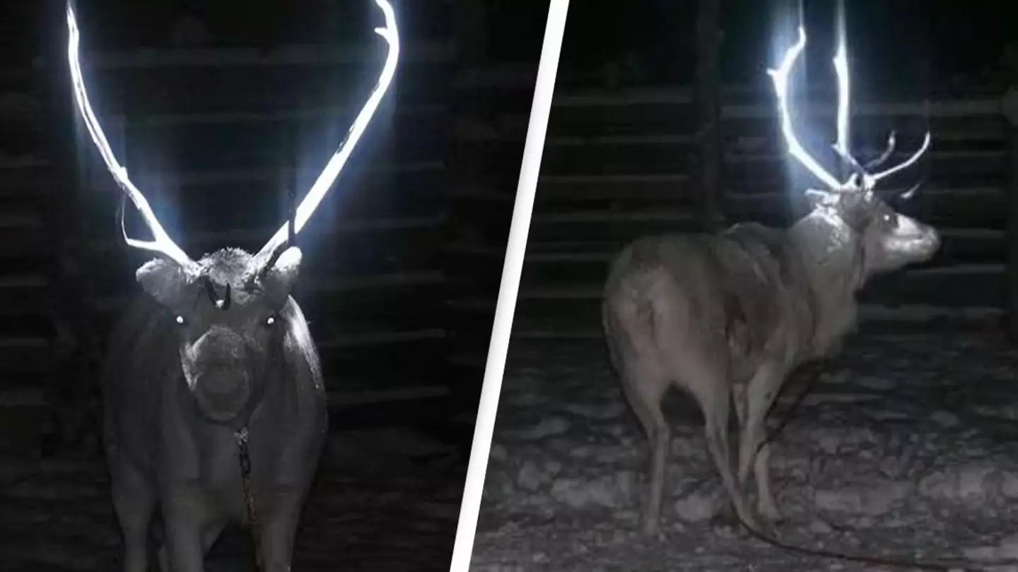 Truth behind 'terrifying' images of reindeer with glow-in-the-dark antlers
