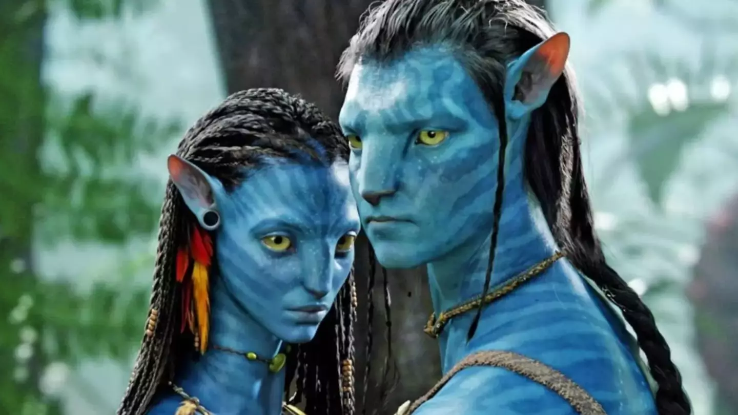 Damon turned down a role in Avatar. (20th Century Fox)