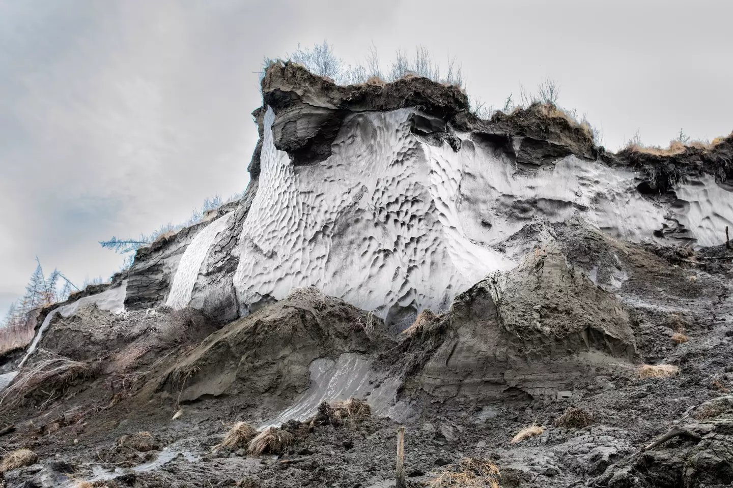 About 65% of the Russian territory is underlain by permafrost (imageBROKER/Florian Bachmeier)