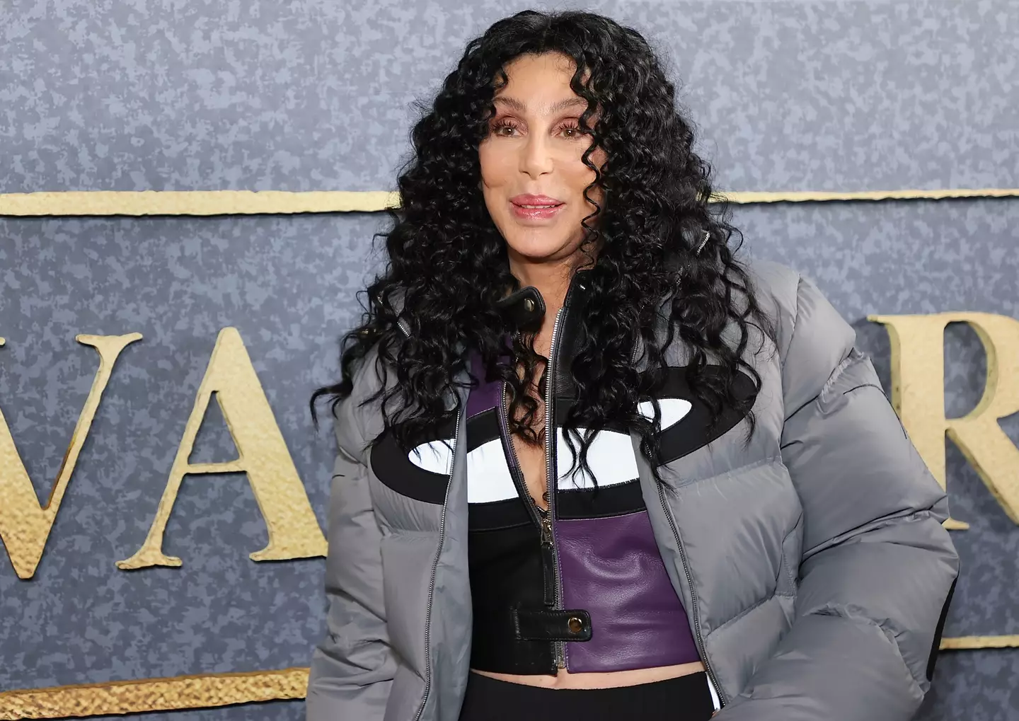 Cher has been accused of arranging for her son to be 'kidnapped'.
