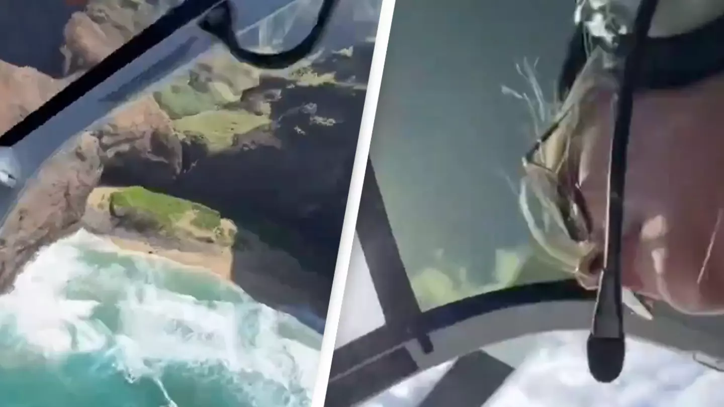 Helicopter pilot saves three passengers after suffering engine failure mid-flight in incredibly intense video