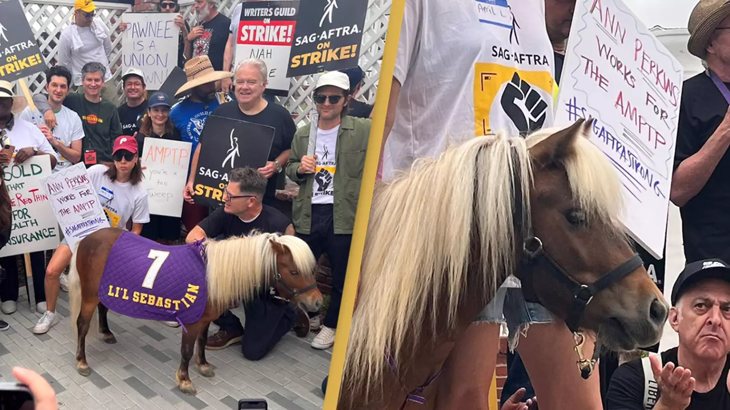 Lil Sebastian joins Parks and Recreation cast reuniting for the Hollywood actors and writers strike