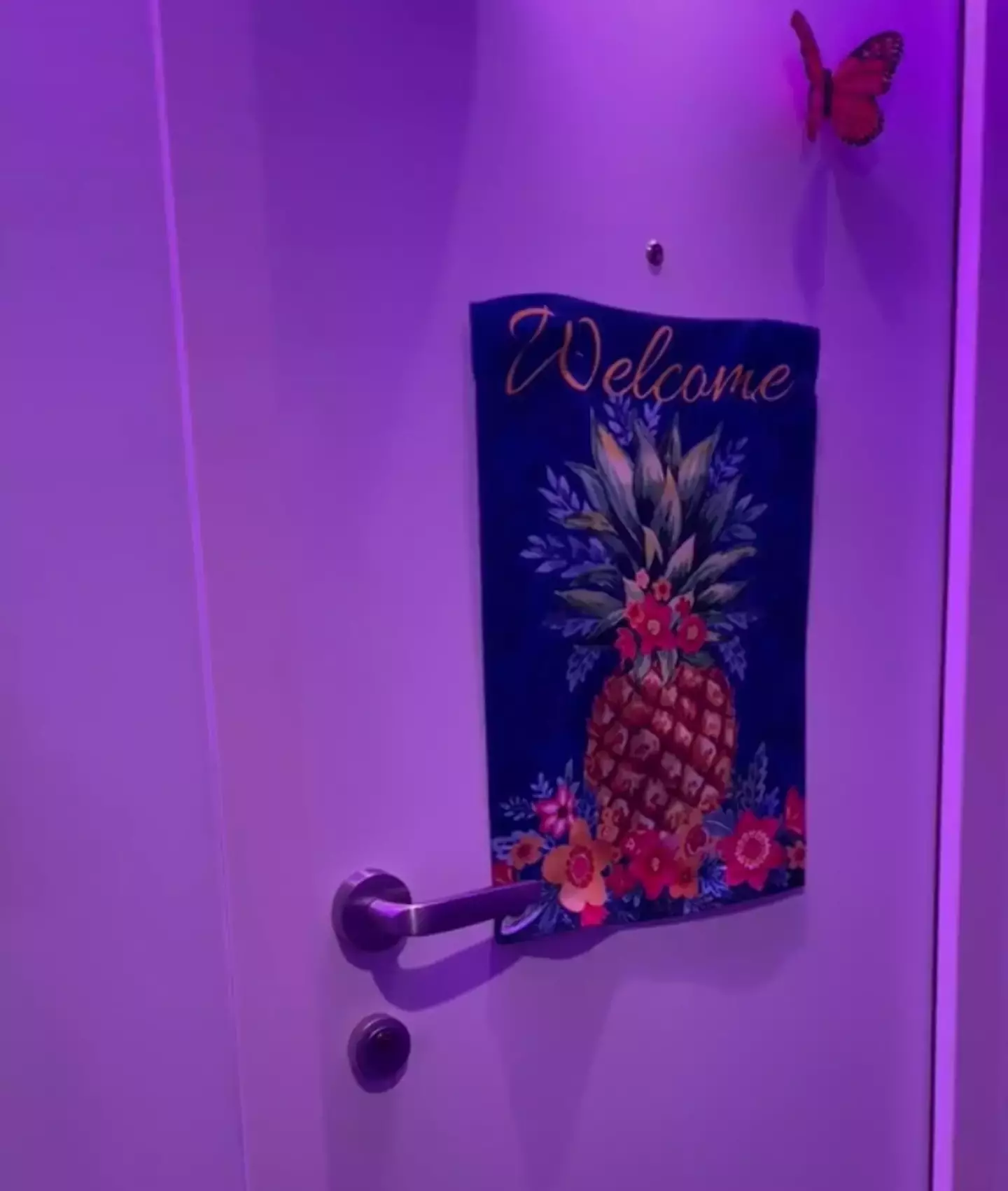 A TikToker showed cabin doors adorned with pineapples. (TikTok/@blogionistatravels)