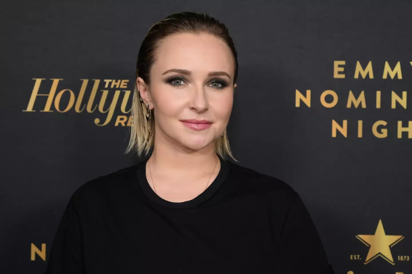 Panettiere has also said she doesn’t believe this is simply a cute phase but rather will spell bigger issues in the future.(Michael Kovac/The Hollywood Reporter via Getty Images)