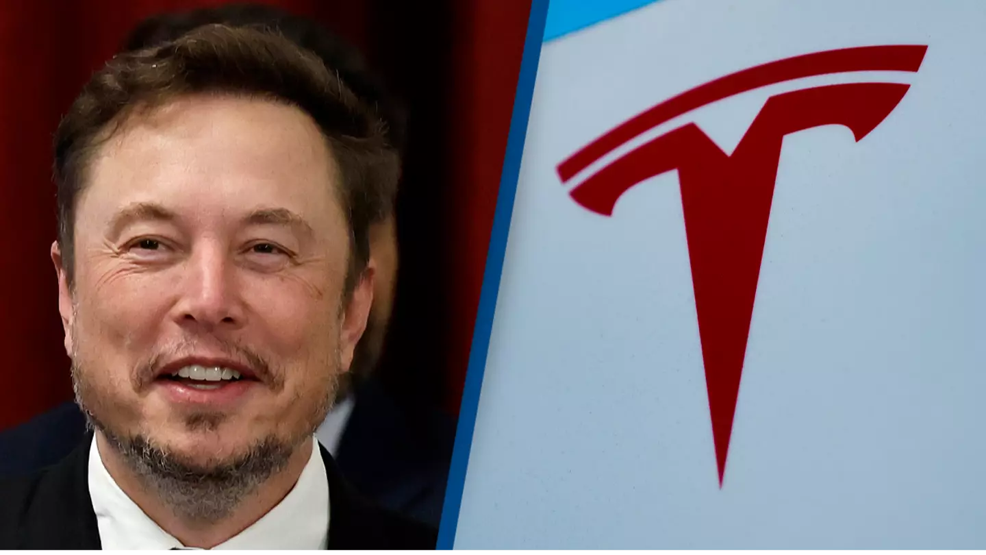 Elon Musk called 'little baby who was almost in tears' by Tesla investor after 'terrible' earnings call