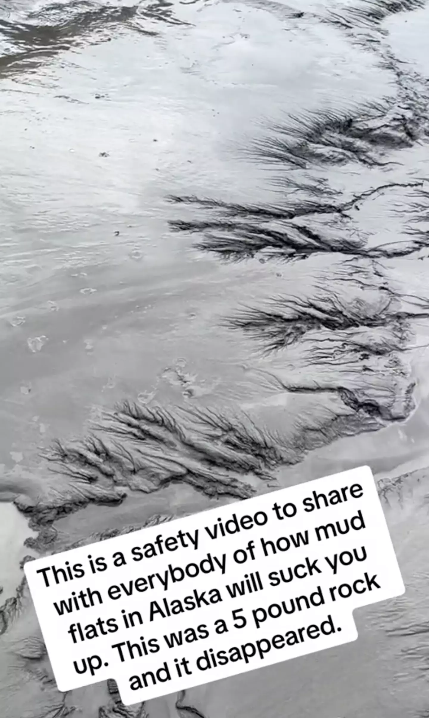 A man has spoken about the dangers of mudflats.