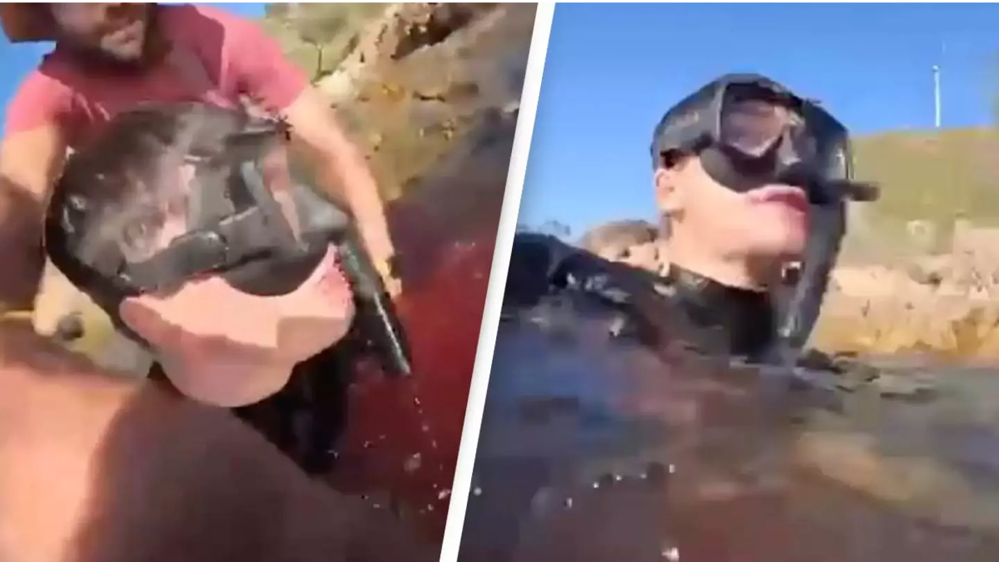 Student shares video of terrifying shark attack that cost him a leg and reveals how he escaped