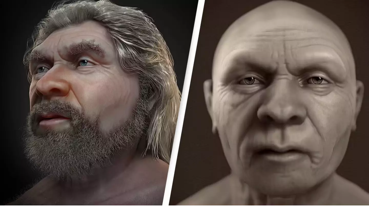 Face of Neanderthal man reconstructed after 56,000 years shows different side to now-extinct species