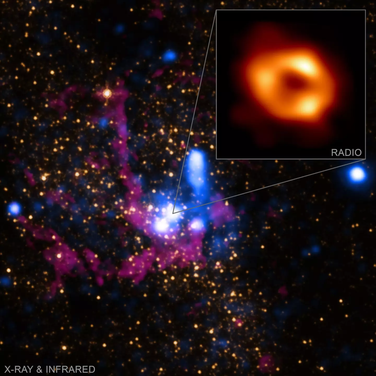 NEOWISE's data has improved understanding of black holes.