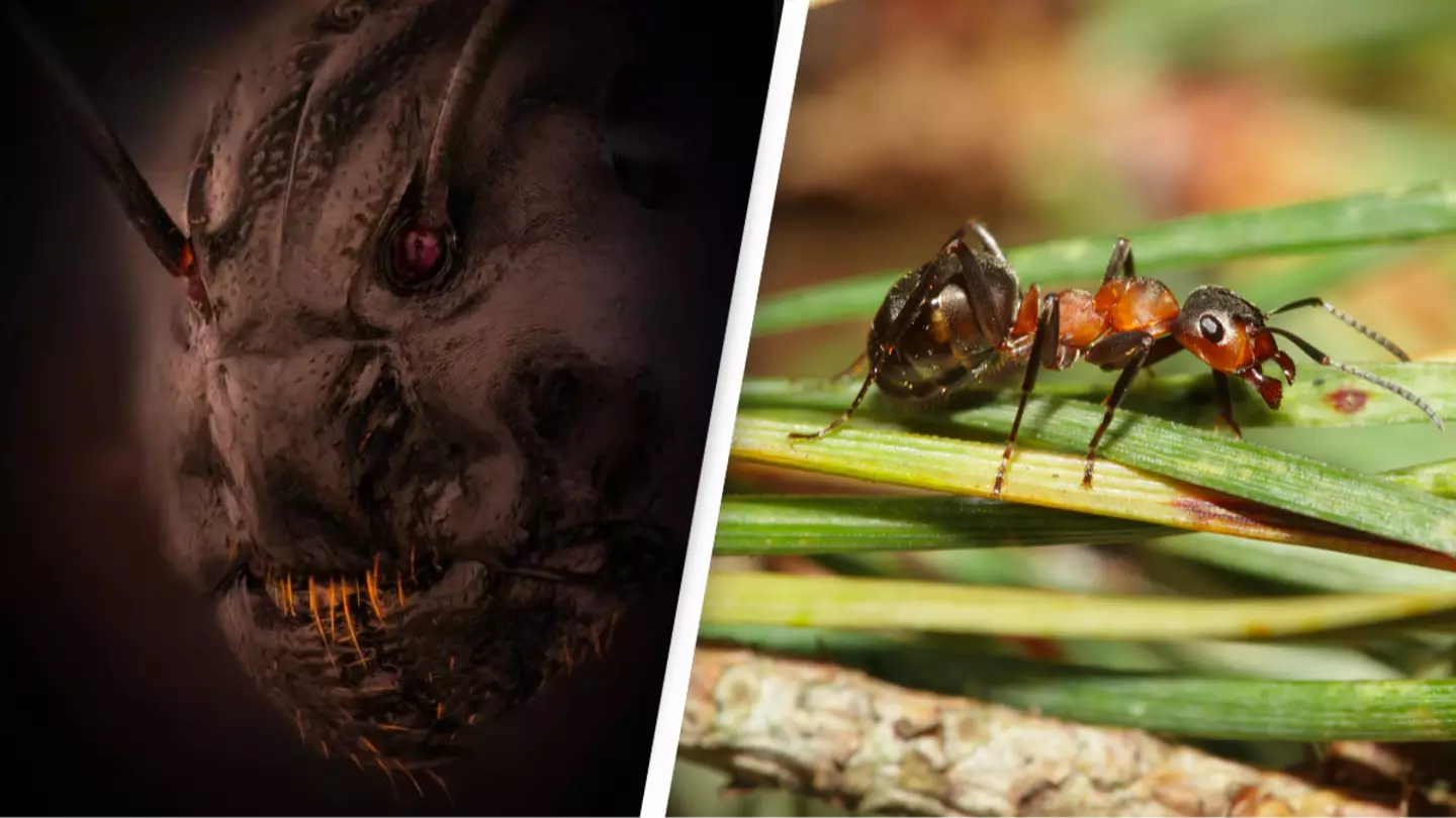 Terrifying close-up of ant's face wins Nikon's photo competition prize