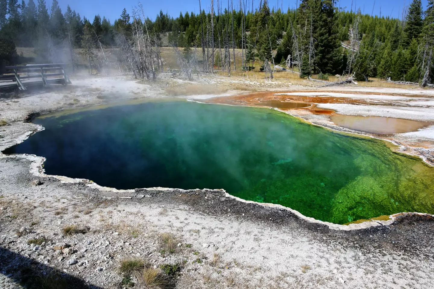 Part of a human foot has been found in Yellowstone National Park.