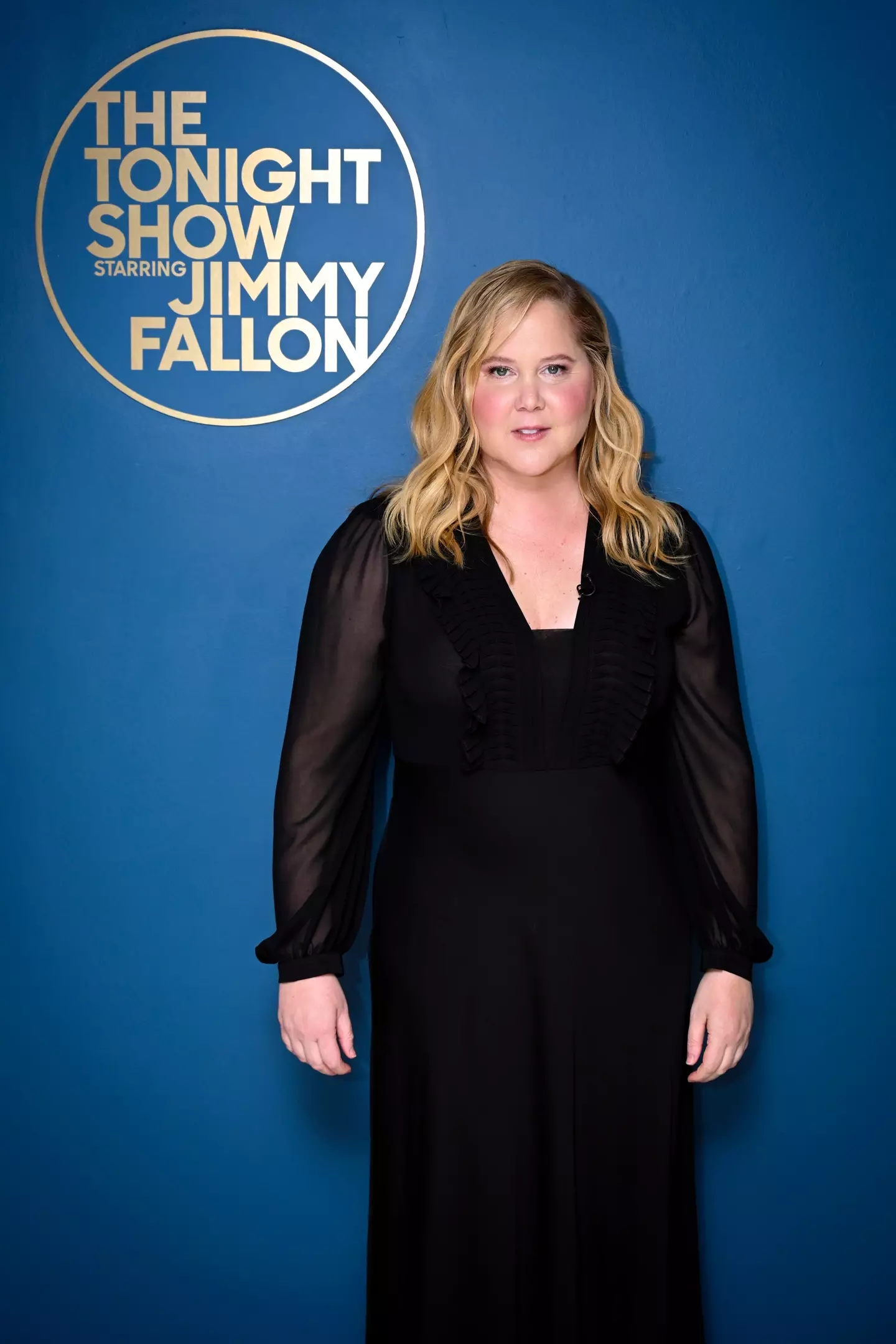Amy Schumer shares a selfie featuring huge bruises on her shoulder