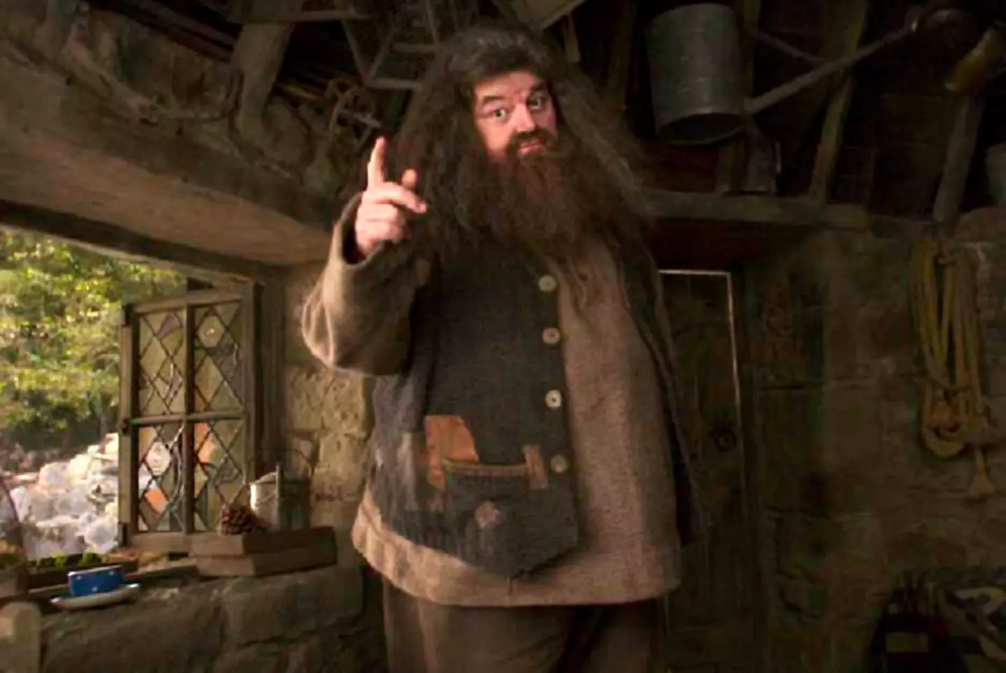 Coltrane played Hagrid in the Hogwarts' goundskeeper.