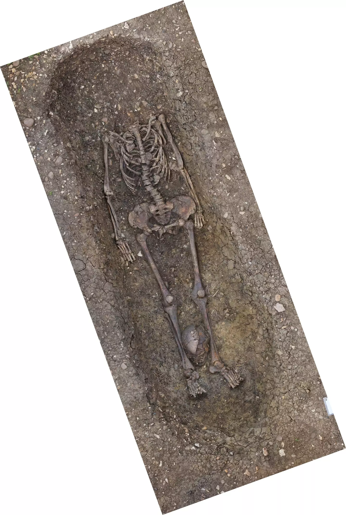 Archaeologists found more than 400 skeletons. (HS2/PA)