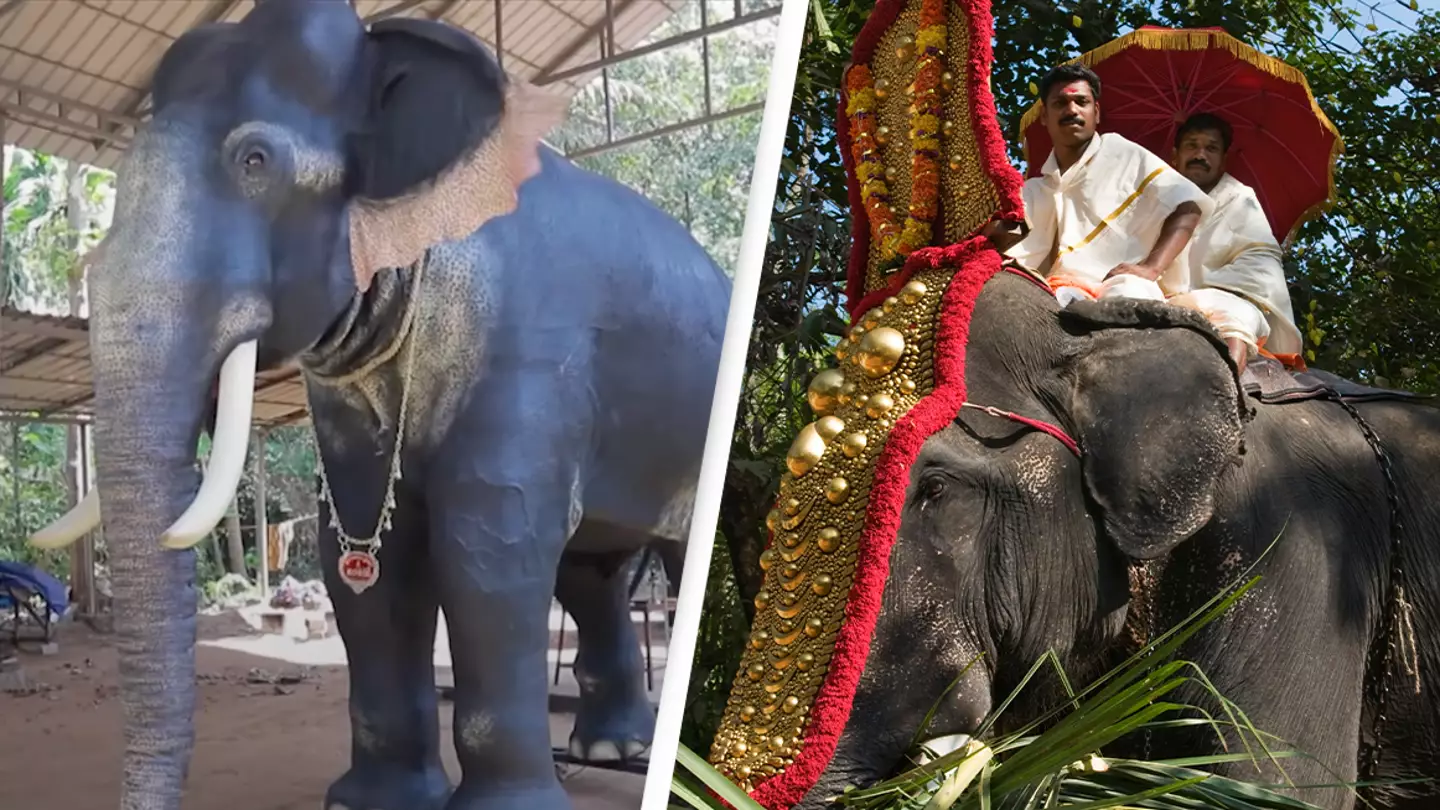 PETA donates life-sized robotic elephant to Indian temple to stop ‘cruel’ tradition
