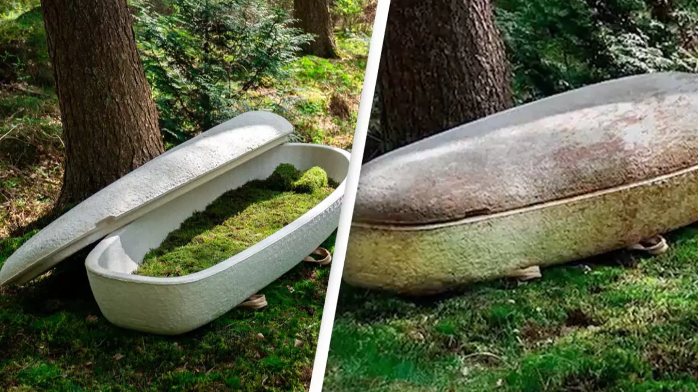 ‘World’s first living coffin’ that helps transform bodies into new life leaves people amazed