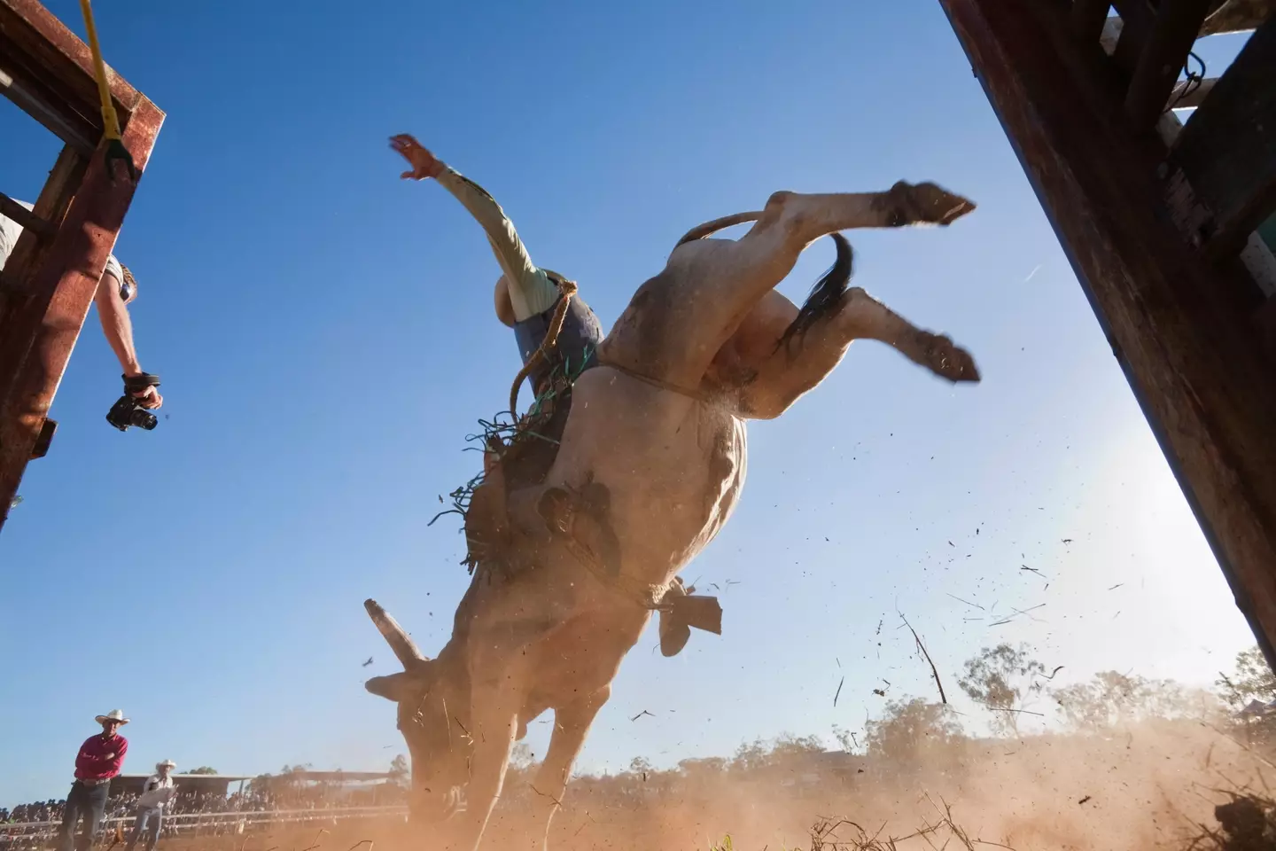 The teen was killed after the bull stomped on his chest [Stock Image].