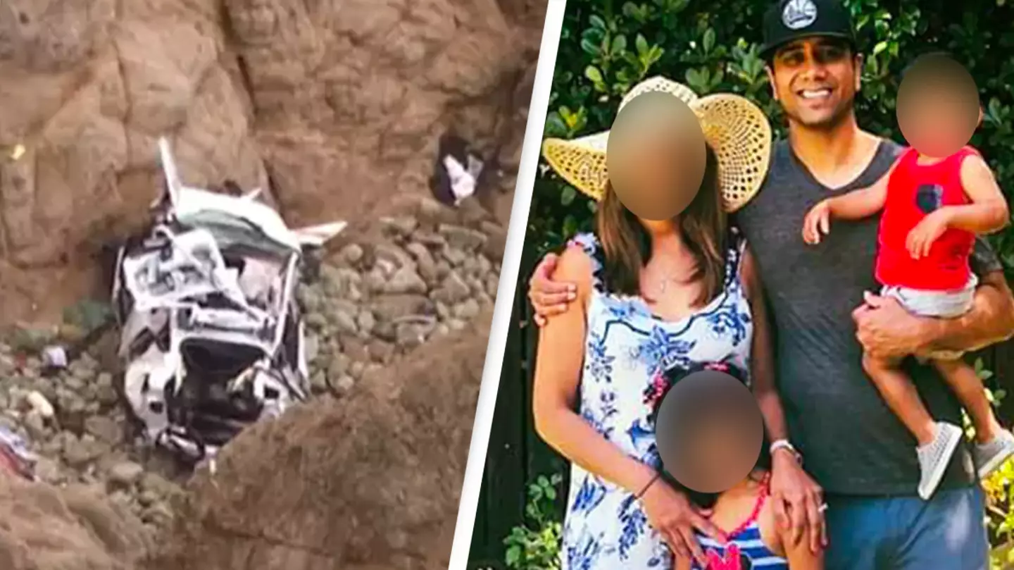Wife claimed husband drove Tesla off cliff ‘on purpose’ after family miraculously survived horrific fall