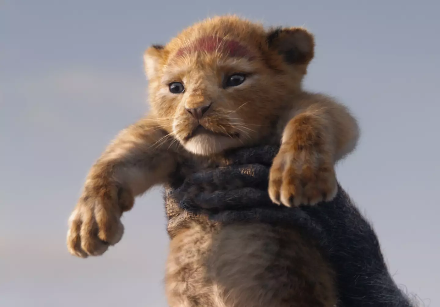 Simba was voiced by Donald Glover in the 2019 remake.