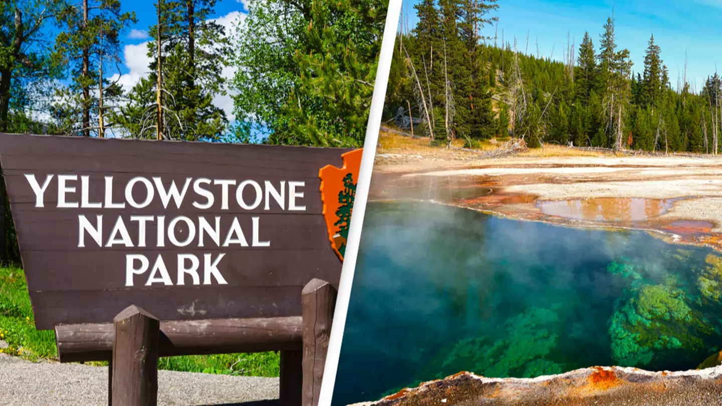 Human foot found in Yellowstone National Park