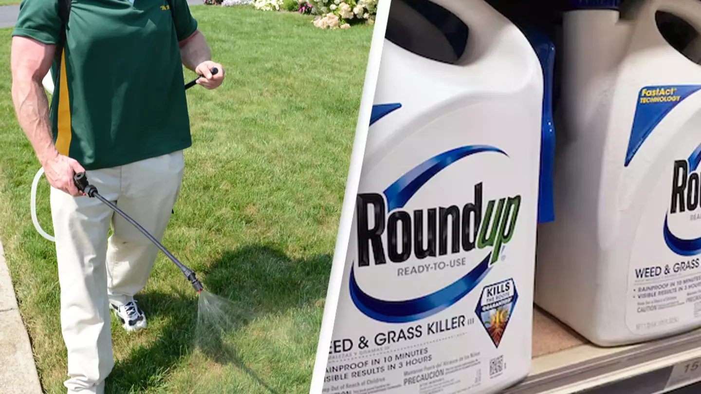 Monsanto ordered to pay man $2.25 billion after jury finds popular weed killer caused his cancer