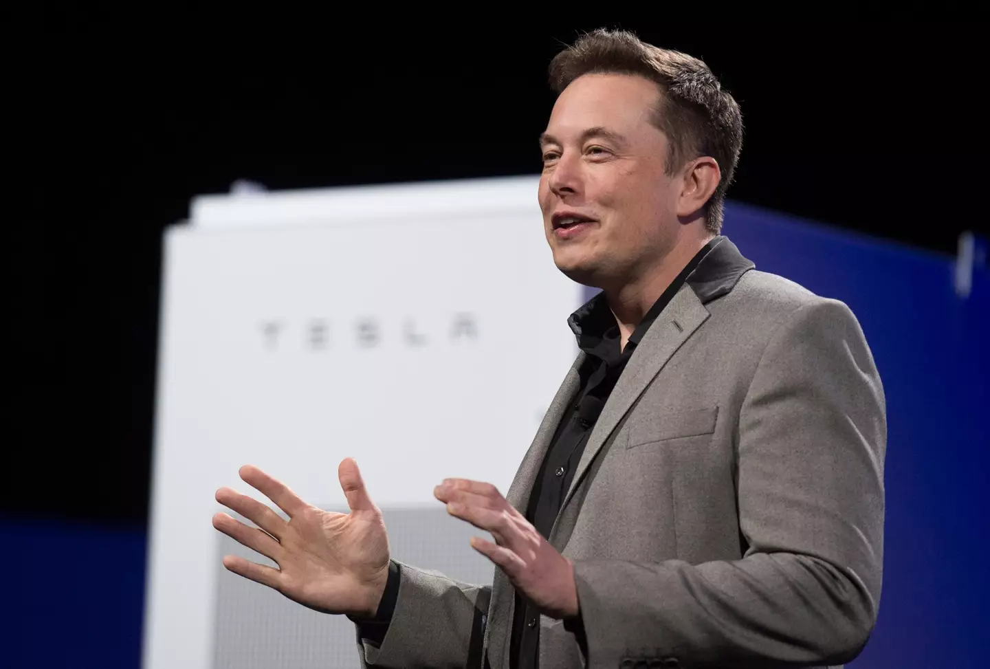 Tesla founder Elon Musk (Alamy)