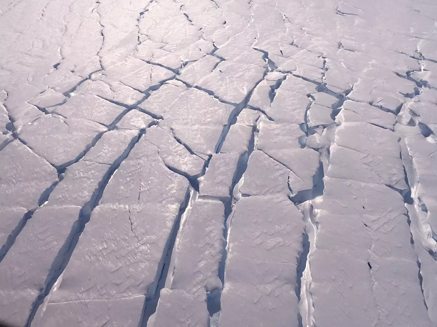 The 'Doomsday Glacier' is 'in trouble', experts warn.