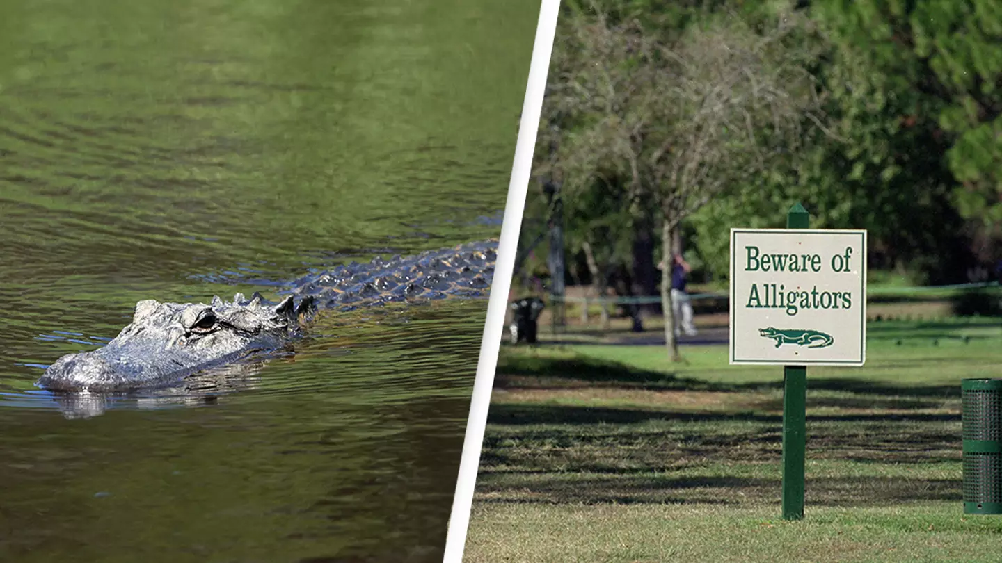 Woman killed by alligator while walking dog near golf course