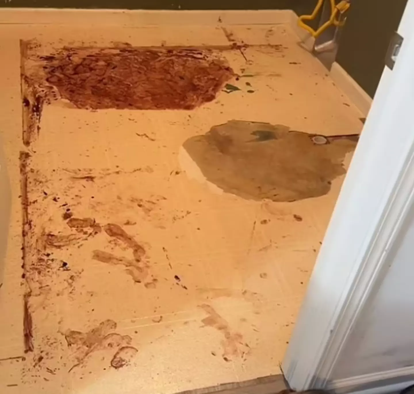 Audrey made the discovery of the bizarre red stain and footprints after a leak in her laundry room. (Tiktok/@chickennuggetlife8806)