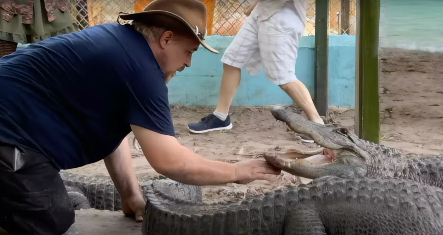 Michael Womer loves alligators. (YouTube/TheGatorCrusader)