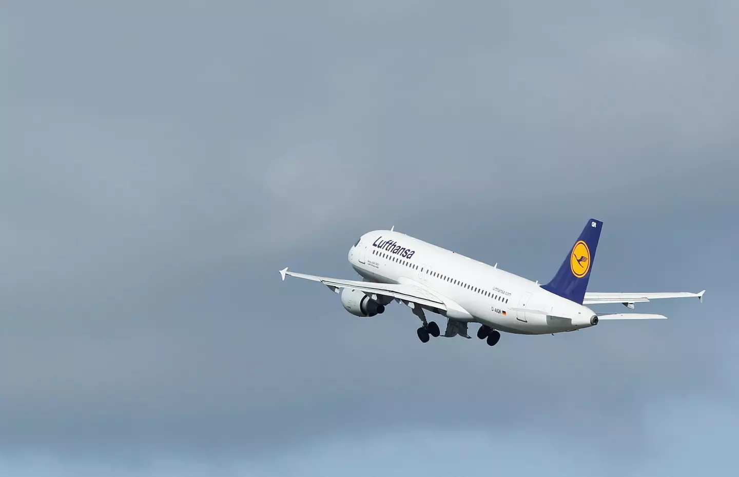 The Lufthansa CEO says the shift gave him ideas about what needs changing.