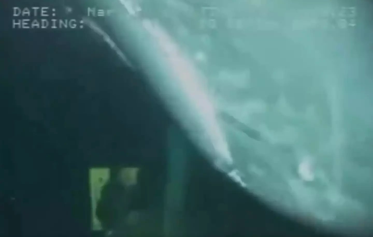 It's thought to have been a sperm whale that greeted the divers. (YouTube/Helix Energy Solutions)