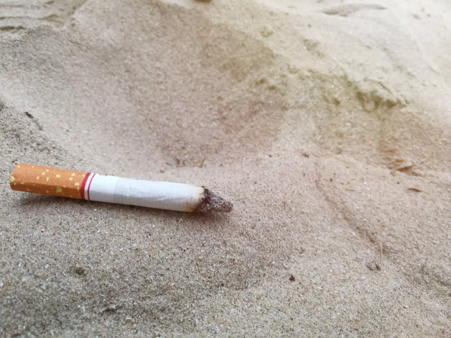 Many cigarettes end up on beaches and in oceans.