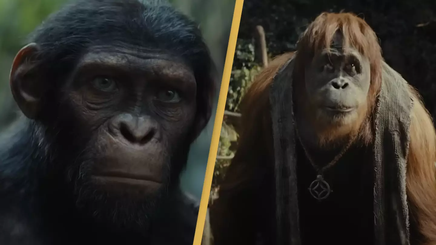 Fans spot impressive detail in first trailer for Kingdom of the Planet of the Apes
