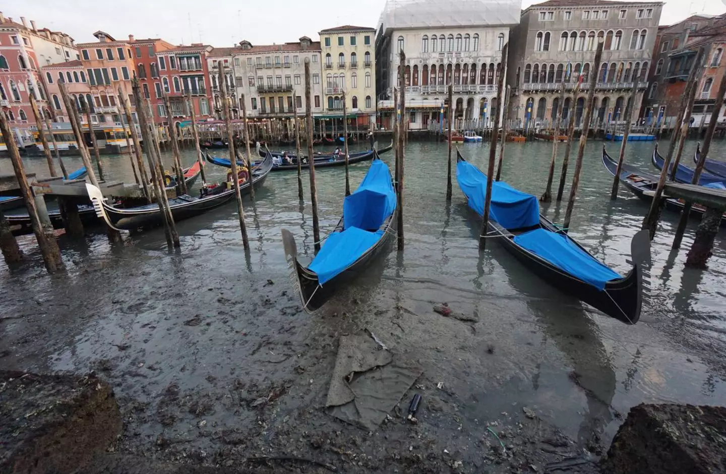 Gondolas lie on the bottom of the Grand Canal during an unusually low tide in Venice, February 2023.
