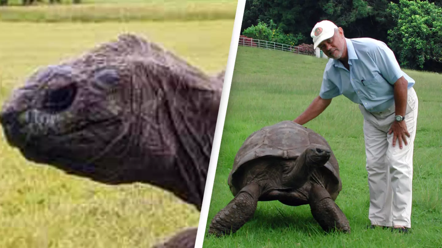 World's oldest living land animal is celebrating yet another birthday