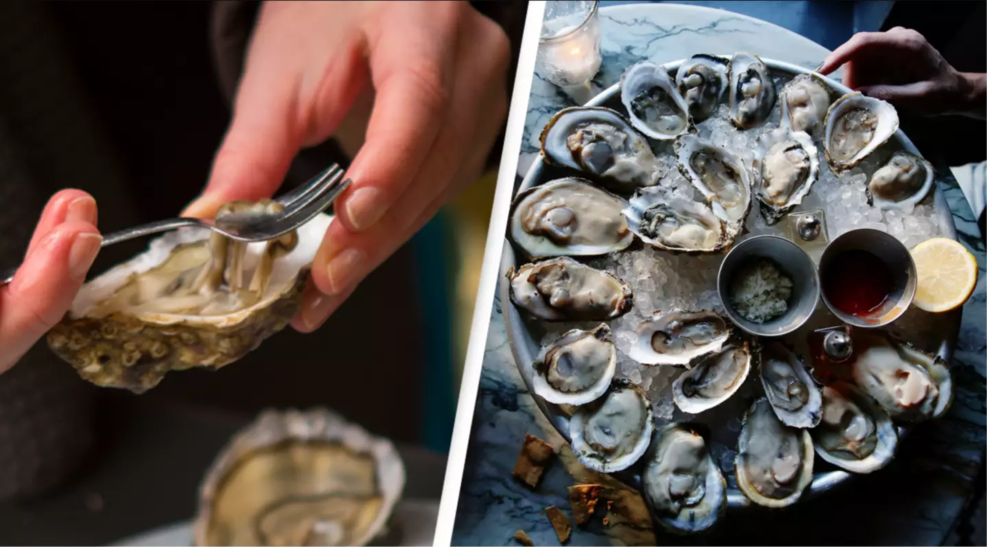 Man dies after eating raw oysters prompting warning from officials