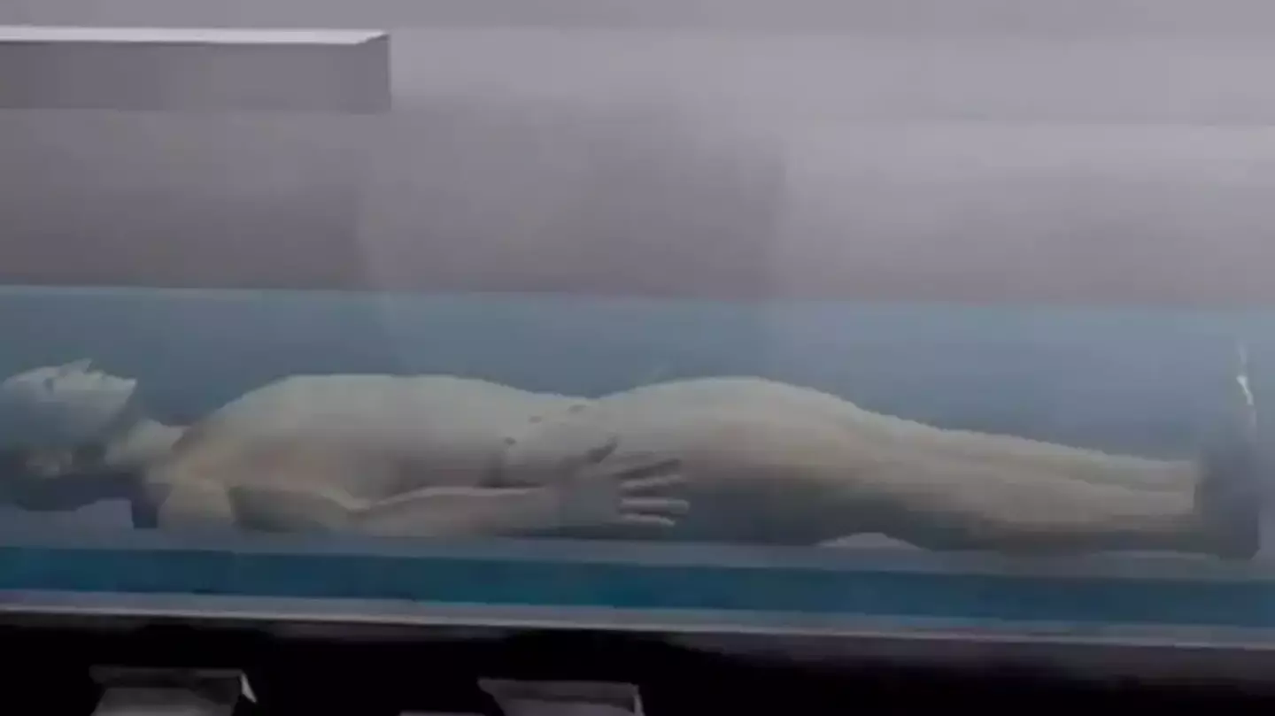 You can now be 'aquamated' instead of buried or cremated when you die