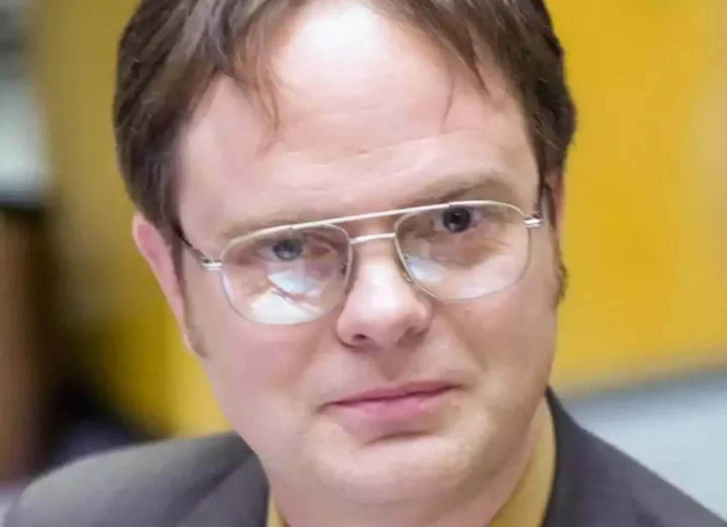 Rainn Wilson played Dwight in The Office (NBC)