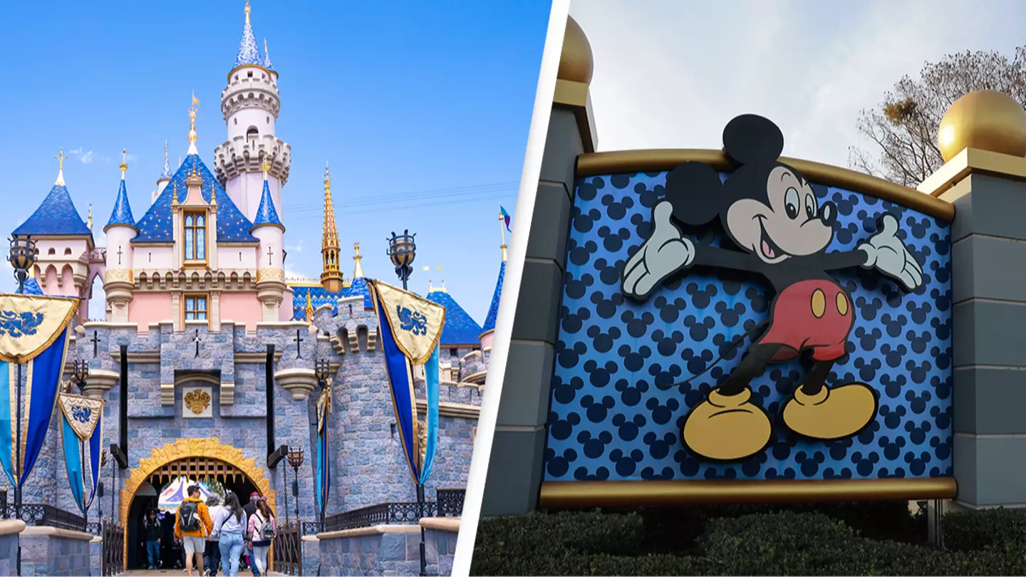 Disneyland set to crack down on rules as people 'fake disabilities' to skip queues