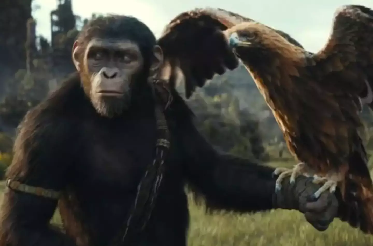 The first trailer for Kingdom of the Planet of the Apes was released yesterday.