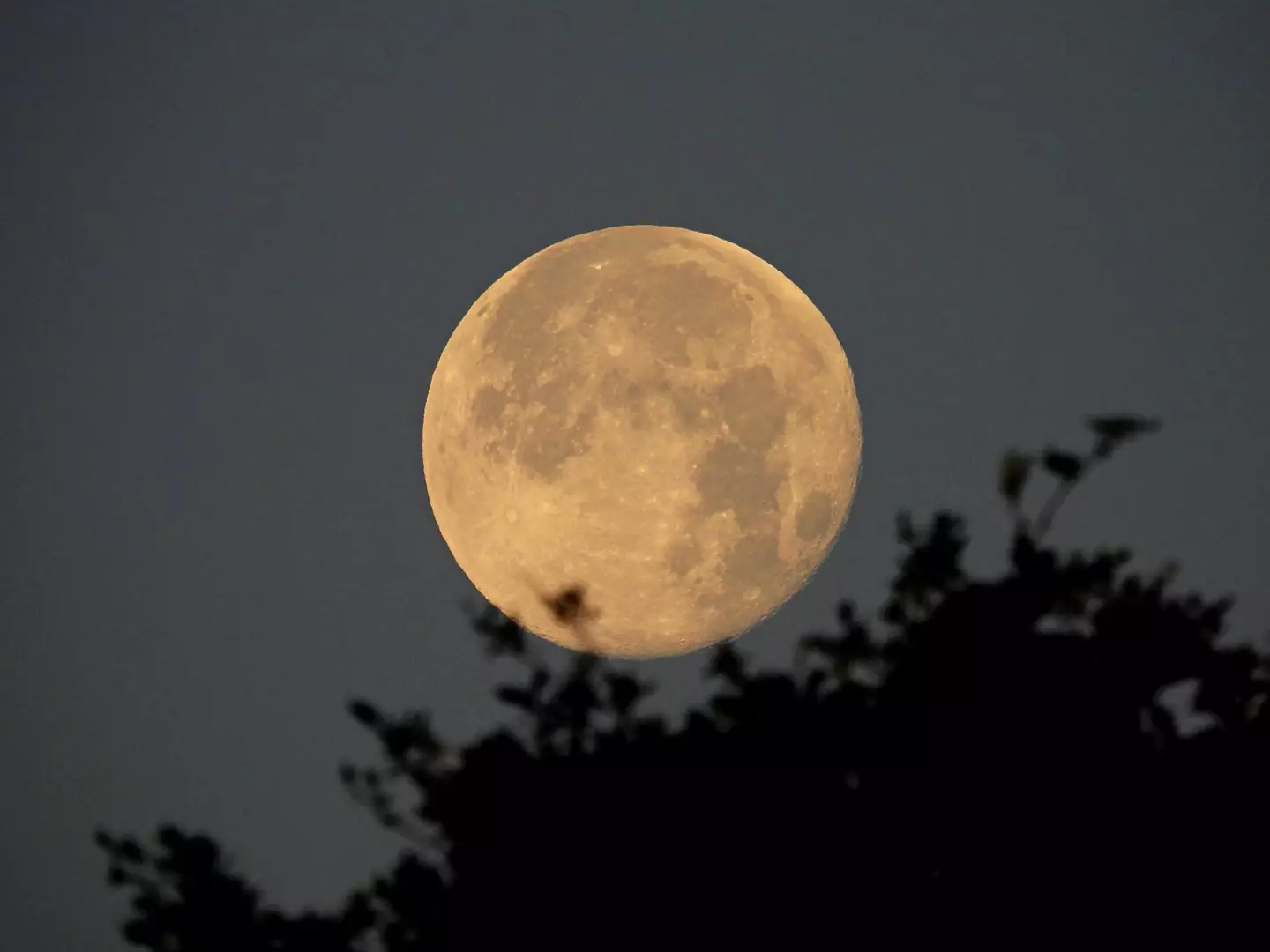 The Moon may appear a slightly different color (Getty Images/ Passion4nature) 