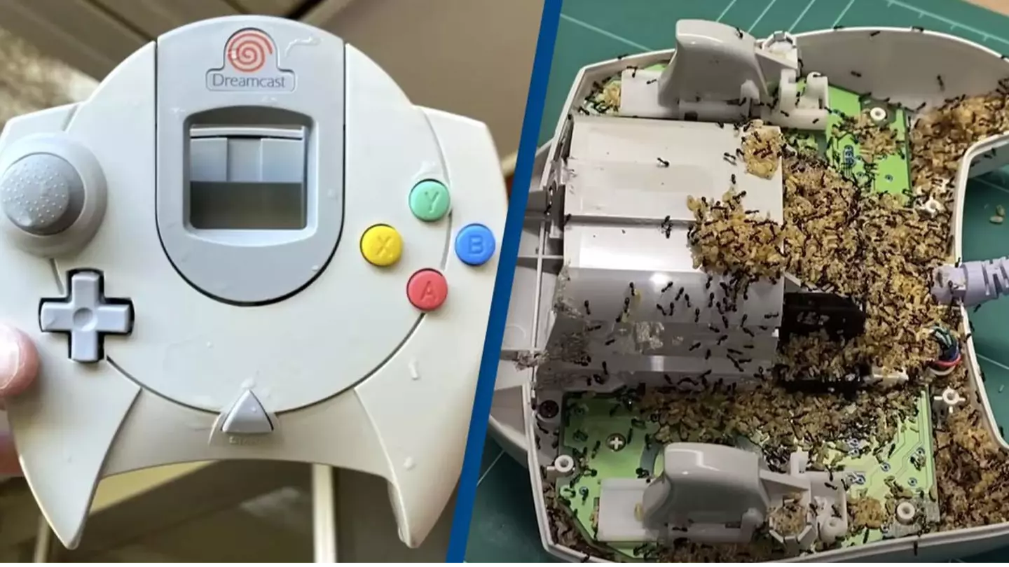 Man unlocks new fear after 'bizarre' discovery living inside his gaming controller